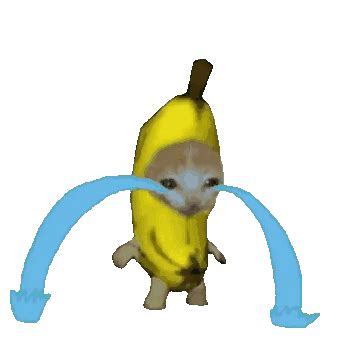 banana cat gif|crying banana cat gif transparent.